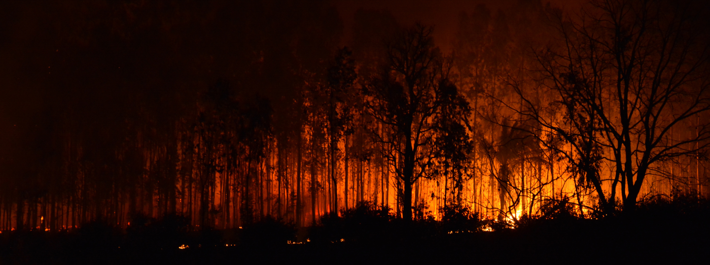 California wildfire