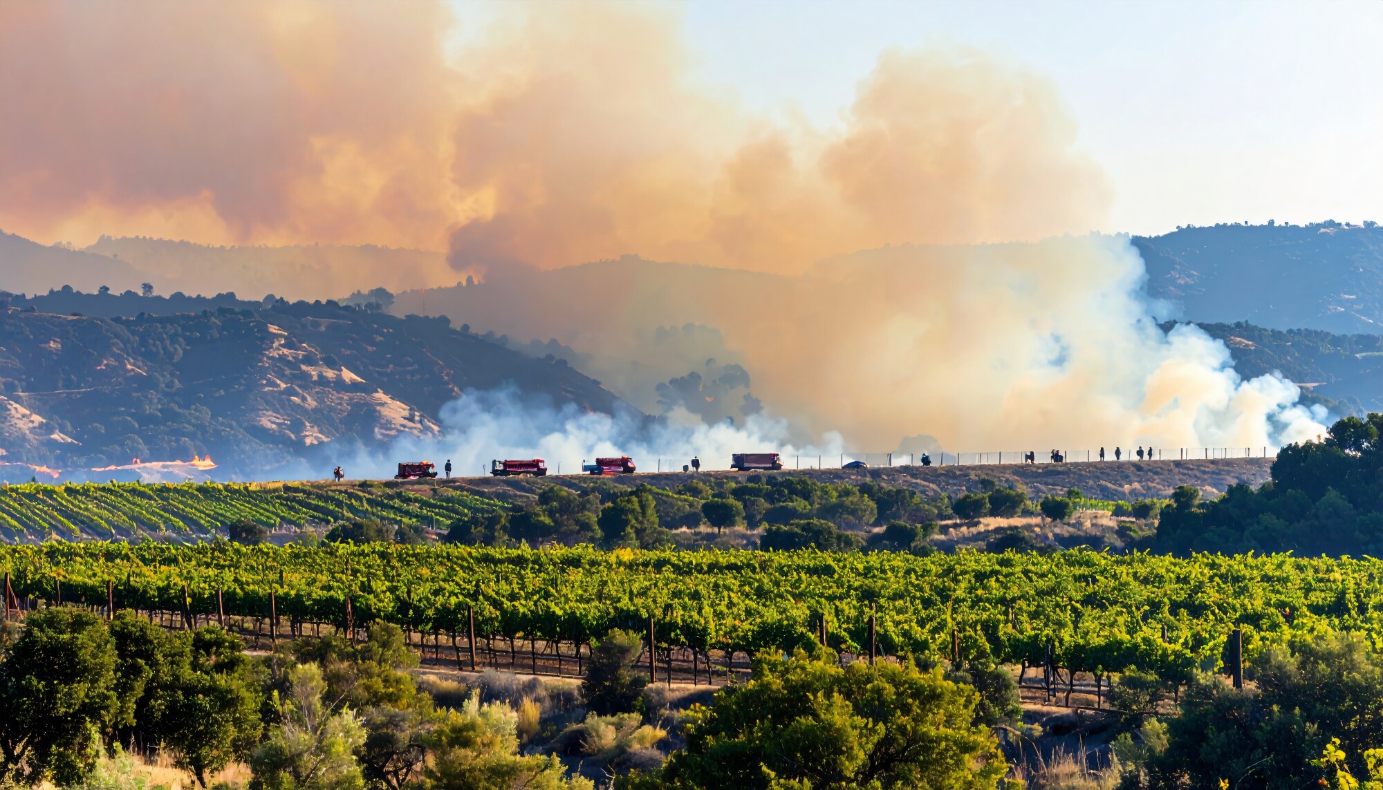 Pickett Fire