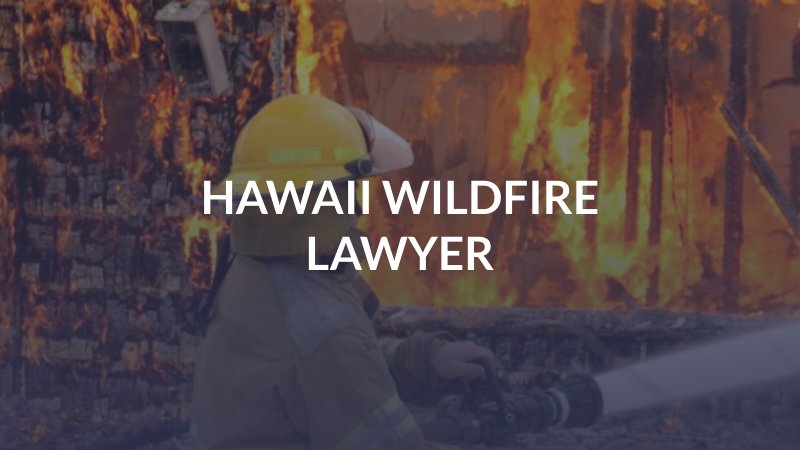 Hawaii Wildfire Lawyer