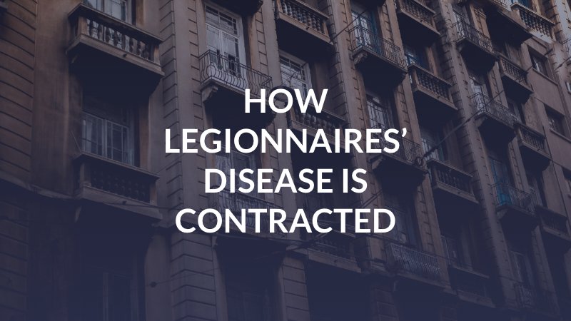 How Legionnaires’ Disease is Contracted