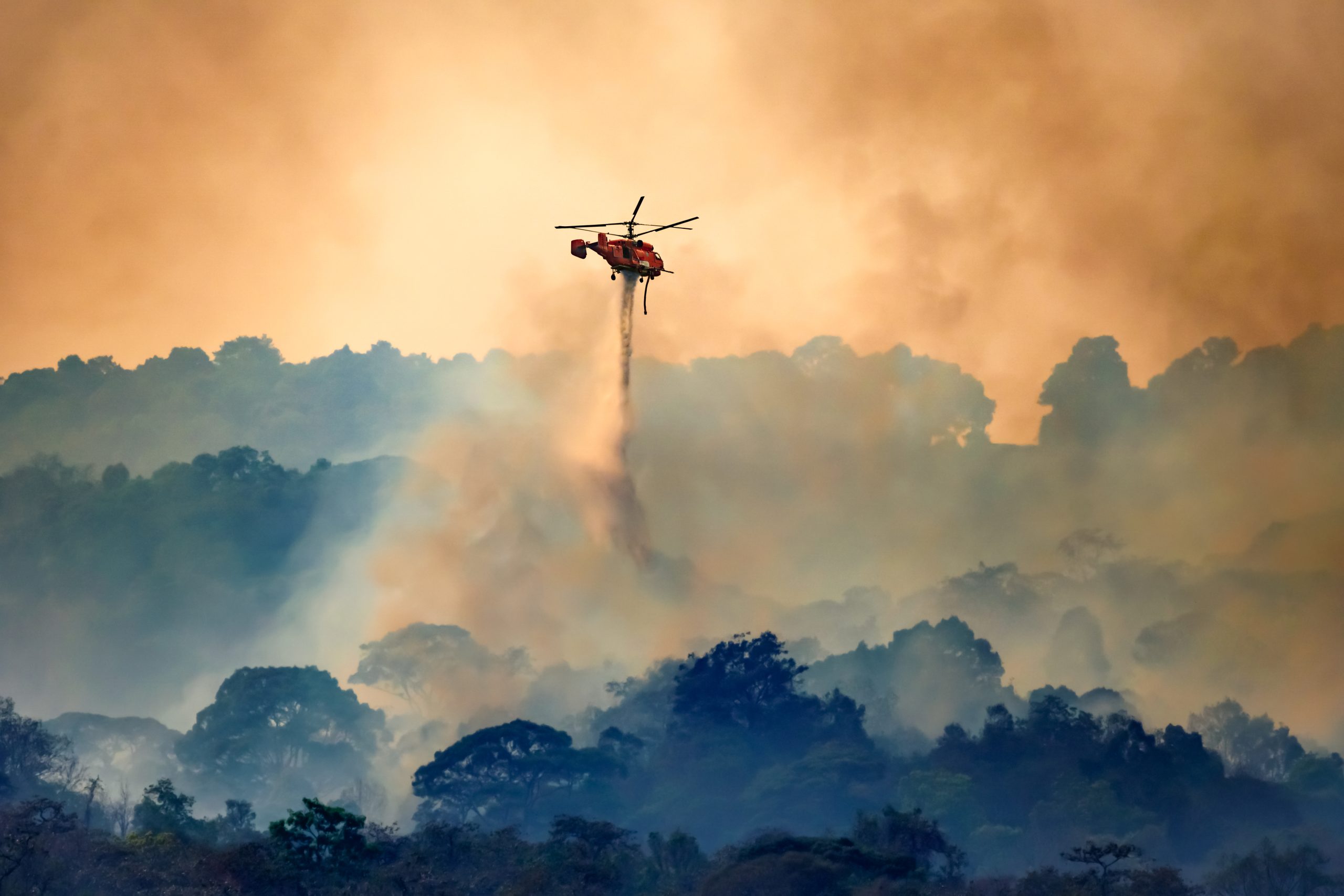 Singleton Schreiber: U.S. Forest Service Admits Responsibility for Cerro Pelado Fire