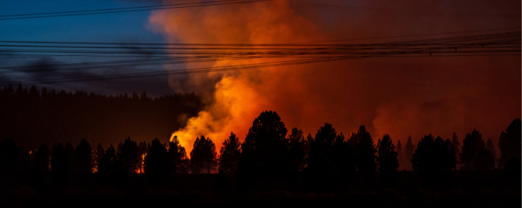 Silhouette of forest with orange reflected in smoke