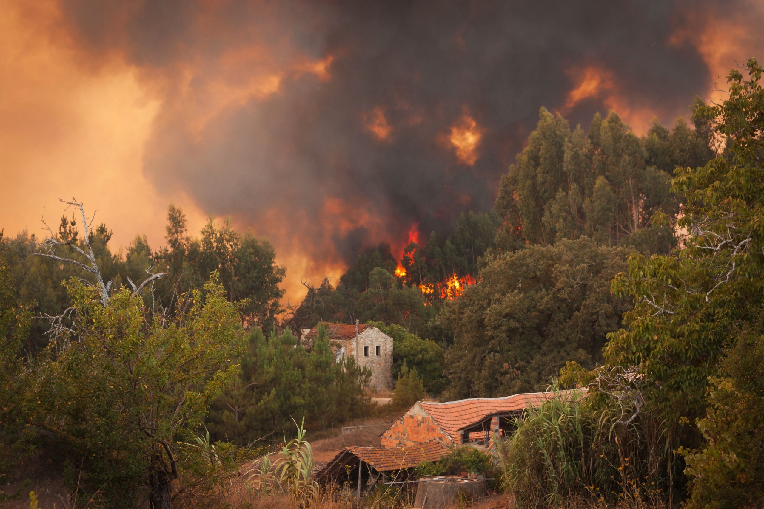 PG&E charged with manslaughter in California wildfire last year that killed 4
