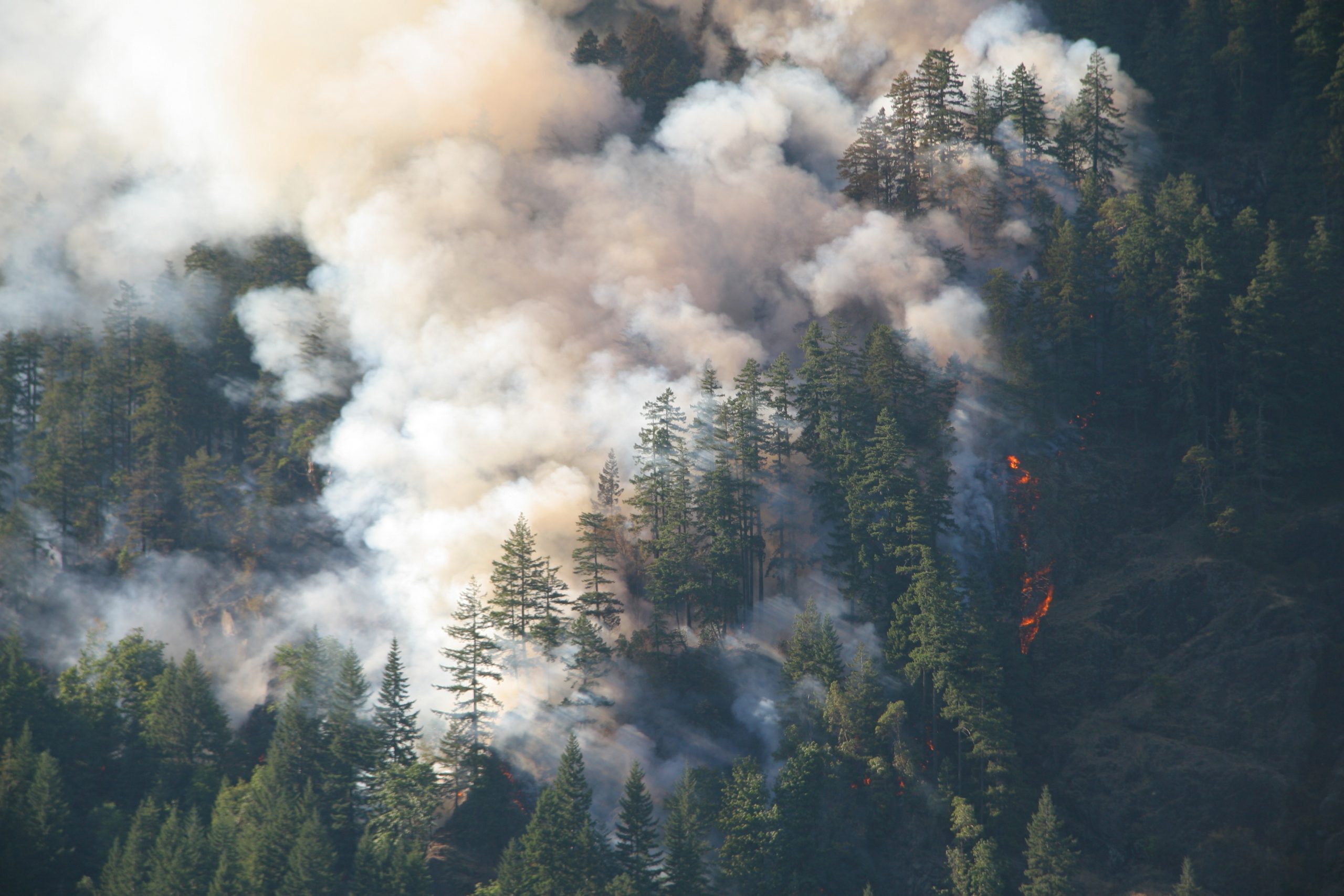 Slater Fire lawsuit expands in Siskiyou County