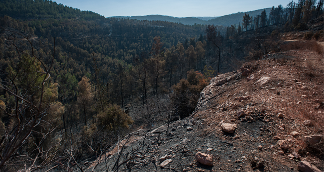 Dixie fire victims sue PG&E as wildfire liabilities mount for California’s largest utility