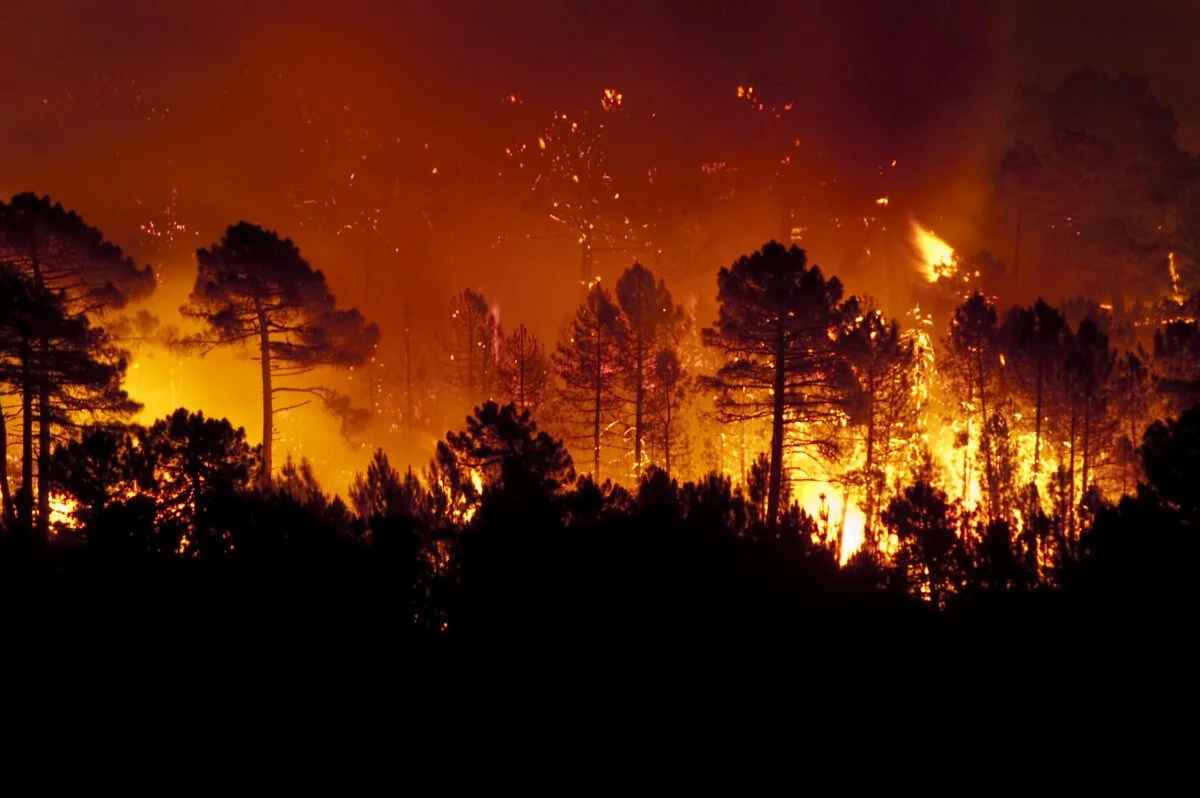 Dixie Fire victims sue PG&E as wildfire liabilities mount for California’s largest utility