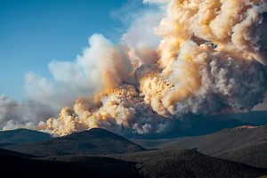 Marshall Fire: Colorado’s Most Destructive Fire was Composed of 2 Fires