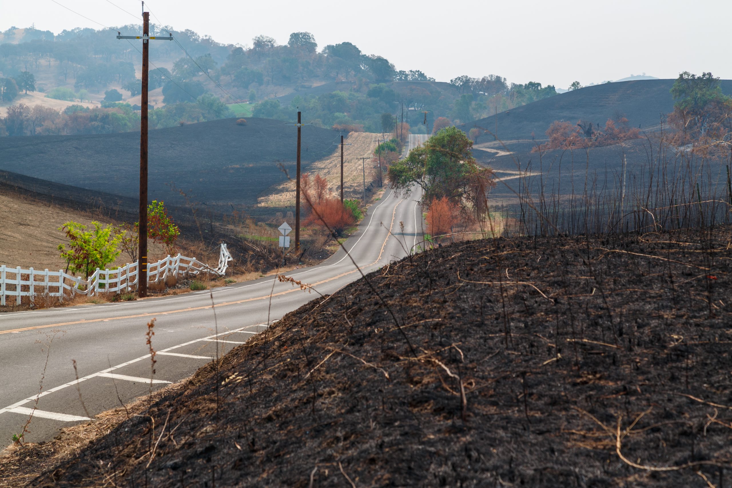 Wildfire Town Recovery: Building Fire-Safe Communities in California