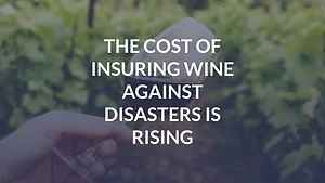The Cost of Insuring Wine Against Disasters is Rising